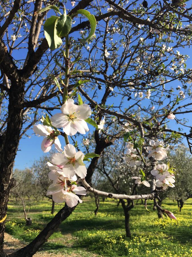 Alludo Aparthotel B&B Agrigento Eksteriør bilde
